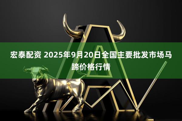 宏泰配资 2025年9月20日全国主要批发市场马蹄价格行情