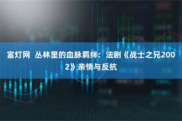 富灯网  丛林里的血脉羁绊：法剧《战士之兄2002》亲情与反抗