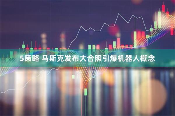 5策略 马斯克发布大合照引爆机器人概念